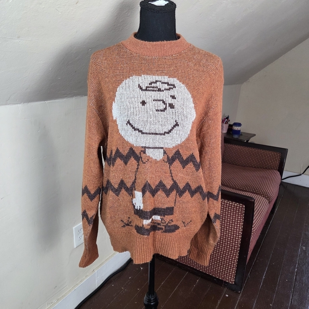 Vintage 70s Peanuts Charlie Brown Sweater L Arrow World’s Greatest Knit Rare